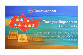 family tree terms singapore ta