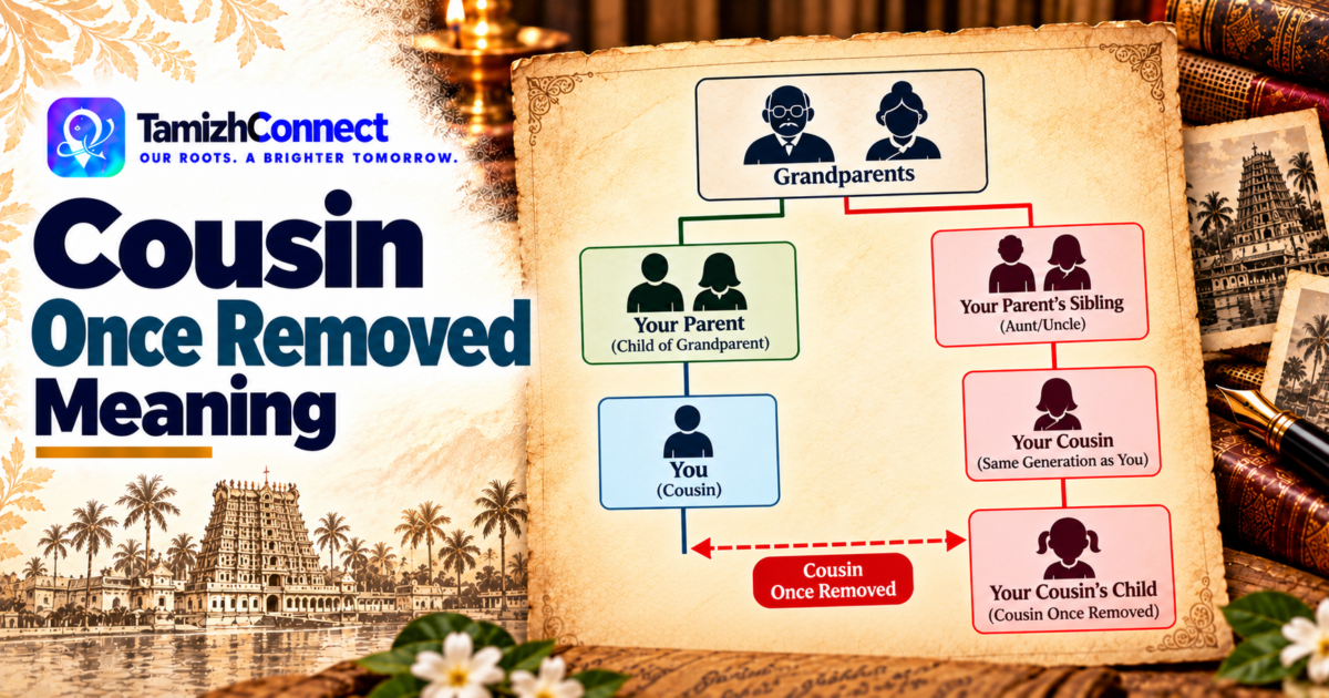 cousin once removed meaning en